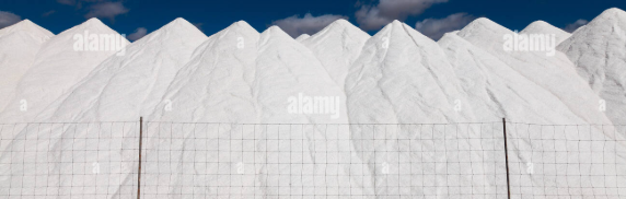 Coopérative Bio 2025